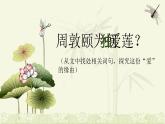 人教部編版語(yǔ)文七年級(jí)下17 短文兩篇愛(ài)蓮說(shuō) 課件