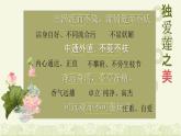 人教部編版語(yǔ)文七年級(jí)下17 短文兩篇愛(ài)蓮說(shuō) 課件