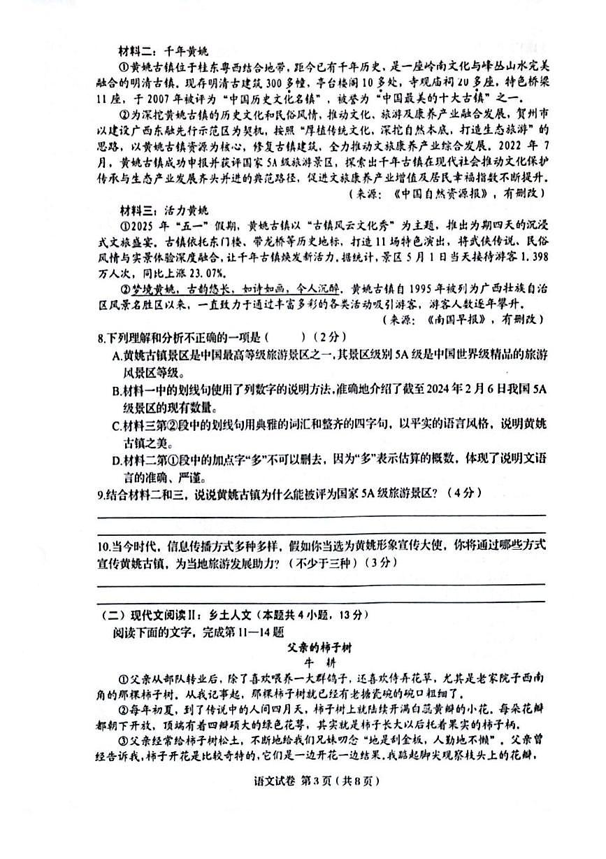 广西壮族自治区贺州市昭平县2025届九年级下学期中考三模语文试卷（pdf版，含答案）第3页
