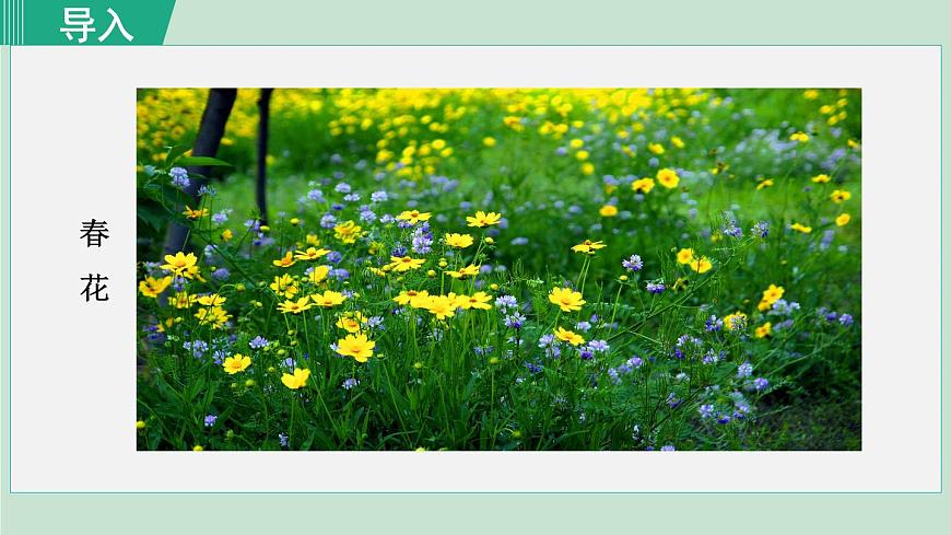 1. 春 第1课时第2页
