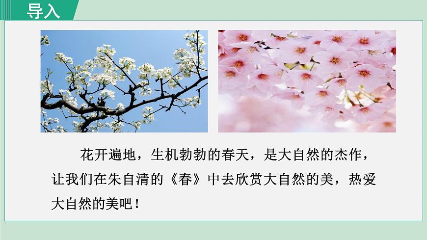 1. 春 第1课时第4页