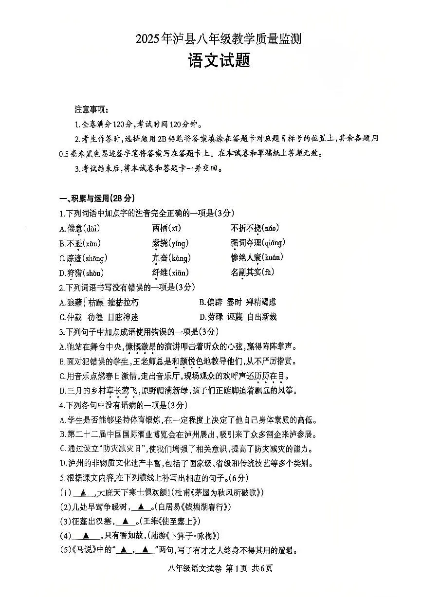 四川省泸州市泸县2024-2025学年八年级下学期6月期末考试 语文试题第1页