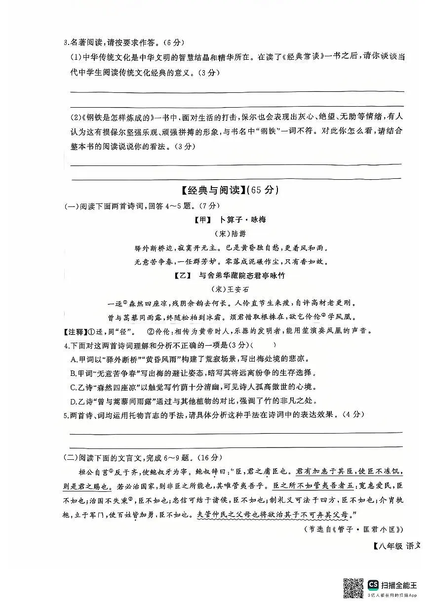 福建省泉州市台商区2024-2025学年八年级下学期 语文期末统考试卷第2页