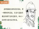 部編版八上語文第二單元同步課件9  天上有顆“南仁東星”