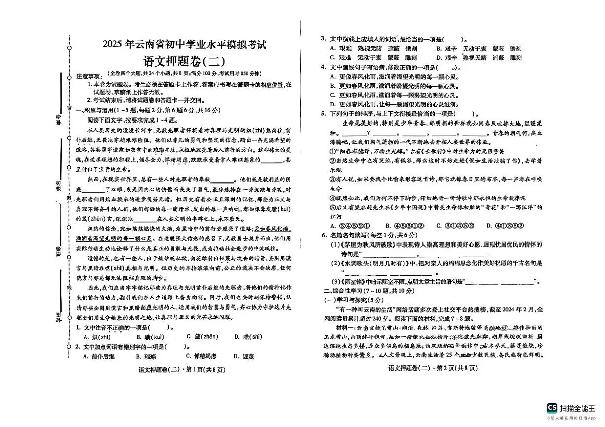 云南省昭通市昭阳区2024-2025学年九年级下学期5月期中 语文试题第1页