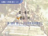 統(tǒng)編版語(yǔ)文八年級(jí)上冊(cè)1.1 我三十萬(wàn)大軍勝利南渡長(zhǎng)江(課件）