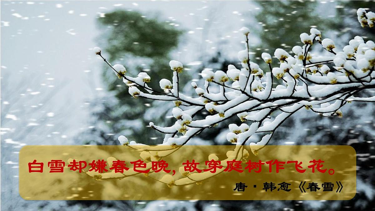 部编语文九年级上册同步教学课件1 《沁园春 雪》第1课时第5页