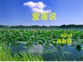 人教部編版語(yǔ)文七年級(jí)下17 短文兩篇《愛(ài)蓮說(shuō)》課件