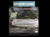 人教部編版語文七年級下第14課《驛路梨花》課件