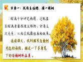 第16課《白楊禮贊》課件-2025-2026學(xué)年統(tǒng)編版語文八年級上冊
