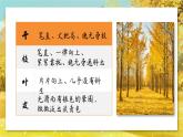第16課《白楊禮贊》課件-2025-2026學(xué)年統(tǒng)編版語文八年級上冊
