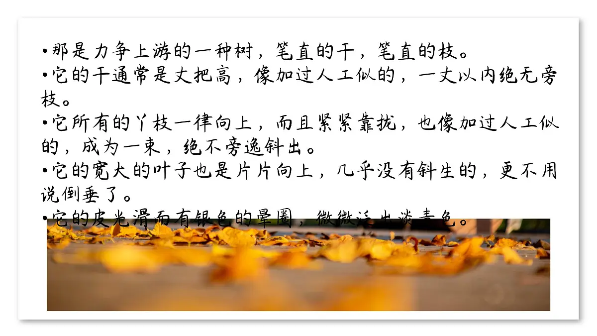 第16课《白杨礼赞》课件-2025-2026学年统编版语文八年级上册第6页