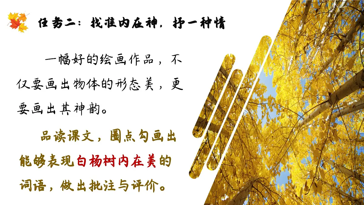 第16课《白杨礼赞》课件-2025-2026学年统编版语文八年级上册第7页