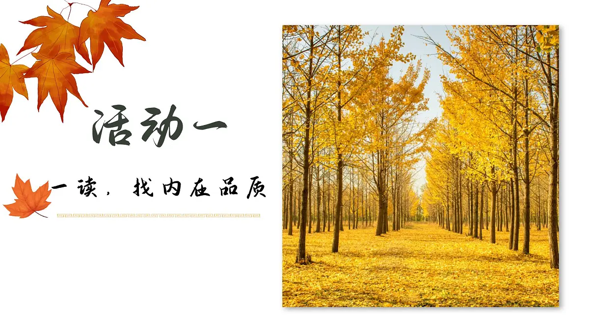 第16课《白杨礼赞》课件-2025-2026学年统编版语文八年级上册第8页