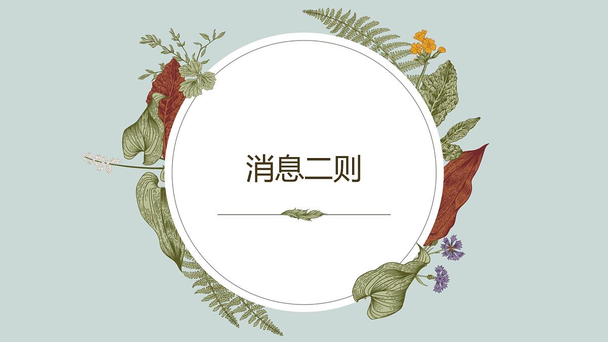 第1课《消息二则》课件2024-2025学年统编版语文八年级上册第1页