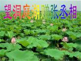 統(tǒng)編版語(yǔ)文八年級(jí)下冊(cè)望洞庭湖贈(zèng)張丞相課件