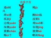 人教部編版語文八年級上17_ 散文二篇我為什么而活著課件