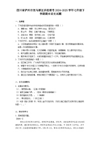 四川省泸州市龙马潭区多校联考2024-2025学年七年级下学期期末语文试题（含答案）