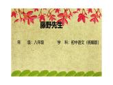 7 藤野先生-課件-2025-2026學(xué)年八年級(jí)語(yǔ)文上冊(cè)（統(tǒng)編版）