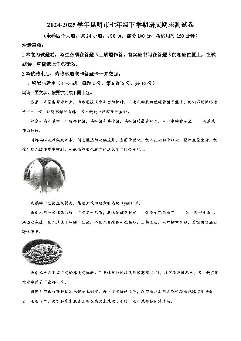 云南省昆明市2024-2025学年七年级下学期期末语文试题（含答案）第1页