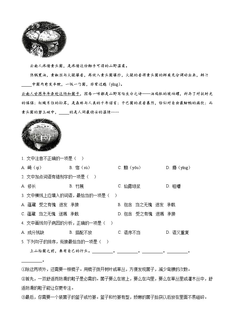 云南省昆明市2024-2025学年七年级下学期期末语文试题（含答案）第2页