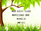初中语文统编版（2024）七年级上册   第一单元写作  热爱写作，学会观察  教学课件