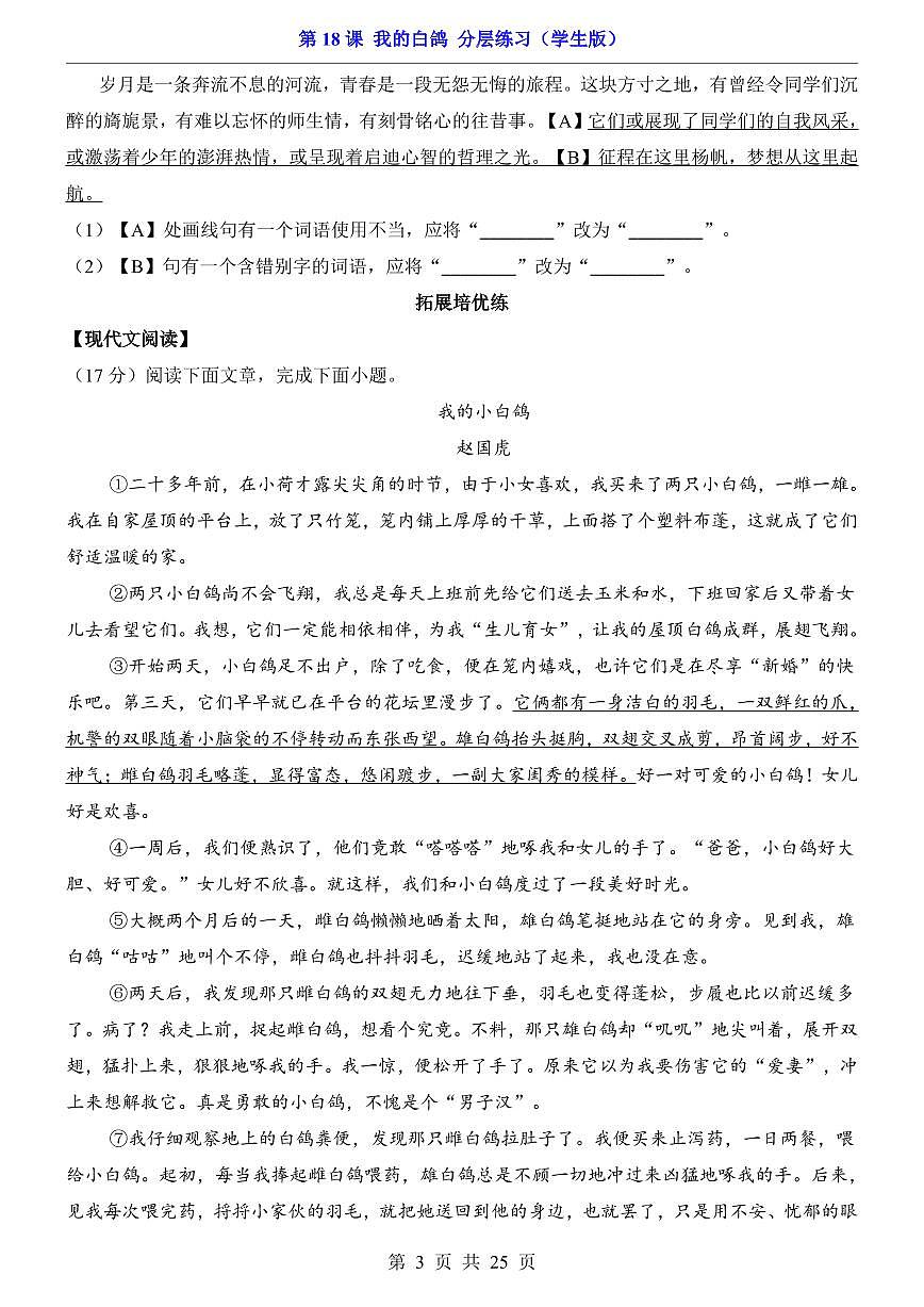 2025新人教版七上语文期末复习第18课 我的白鸽（分层练习）第3页