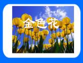 7_散文詩二首《金色花》課件2025-2026學(xué)年統(tǒng)編版語文七年級(jí)上冊(cè)