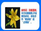 7_散文詩二首《金色花》課件2025-2026學(xué)年統(tǒng)編版語文七年級(jí)上冊(cè)