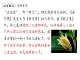 7_散文詩二首《金色花》課件2025-2026學(xué)年統(tǒng)編版語文七年級(jí)上冊(cè)