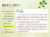 22_夢(mèng)回繁華-課件-2025-2026學(xué)年八年級(jí)語(yǔ)文上冊(cè)（統(tǒng)編版）