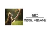 2025年部編版七年級語文上冊 任務二  親近動物，豐富生命體驗（課件）