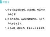 2025年部編版七年級語文上冊 任務二  親近動物，豐富生命體驗（課件）