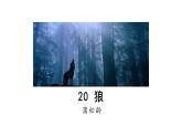 2025年部編版七年級(jí)語(yǔ)文上冊(cè) 20《狼》（課件）