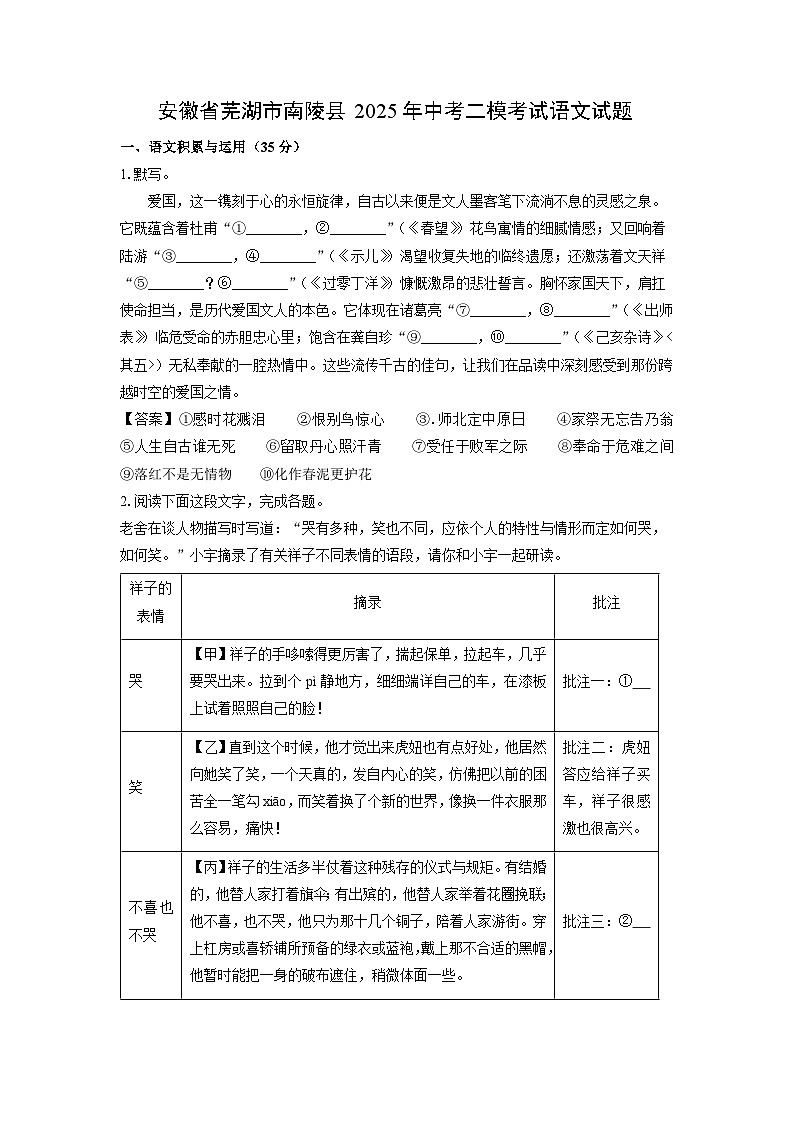 安徽省芜湖市南陵县2025年中考二模[中考模拟]考试语文试卷（解析版）第1页