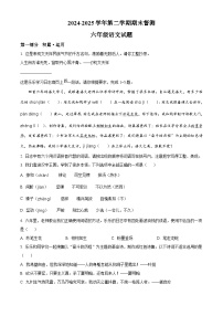 2024-2025学年河北省邢台市统编版六年级下册期末考试语文试卷（含答案）