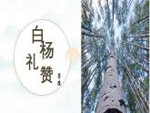 人教版初中語文八上第四單元《白楊禮贊》課件