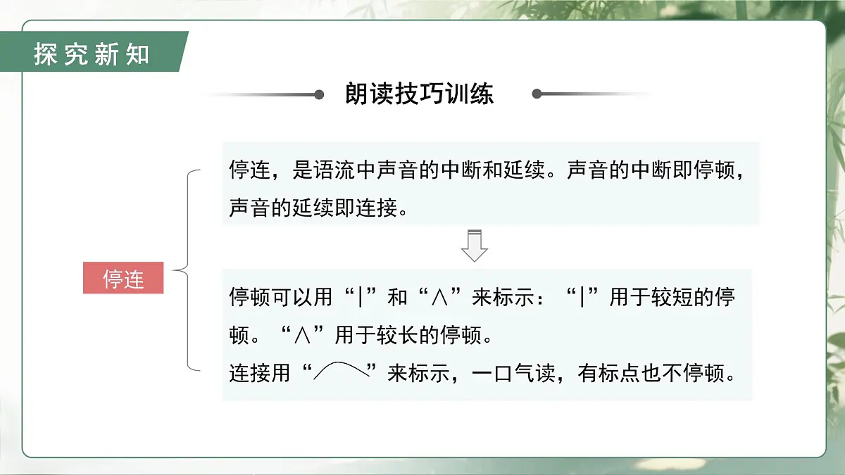 第一单元阅读综合实践（素养进阶教学课件）语文统编版五四学制2024七年级上册第8页