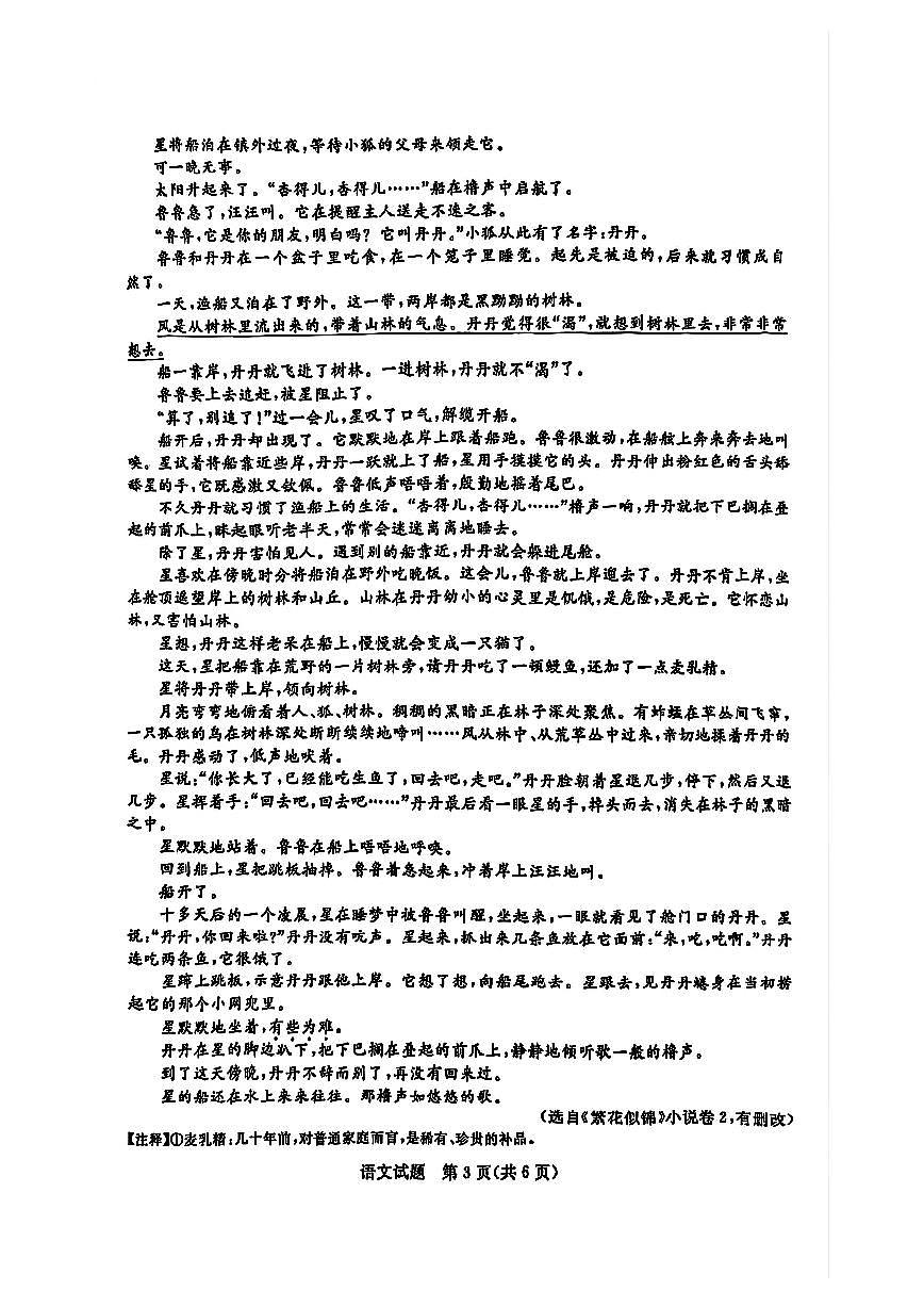2025年浙江省统考中考语文试题卷和答案第3页