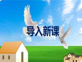 部編版七上語文第18課《我的白鴿》同步課件（內(nèi)含音頻）