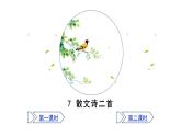 2025年部編版七年級(jí)語文上冊(cè) 7《散文詩二首》（課件）