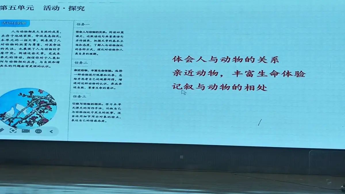 人教版部编（2024）语文七年级上册第五单元《我的白鸽》PPT课件设计第4页