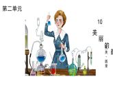 統(tǒng)編版語(yǔ)文八年級(jí)上冊(cè)10《美麗的顏色》課件