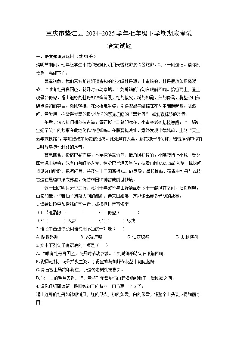 重庆市垫江县2024-2025学年七年级下学期期末考试语文试卷（解析版）第1页