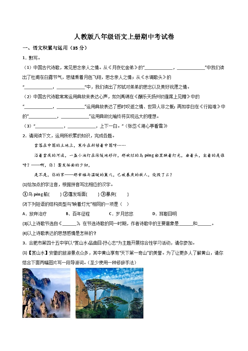 【8语期中】合肥市第四十五中学2024-2025学年八年级上学期期中考试语文试题第1页