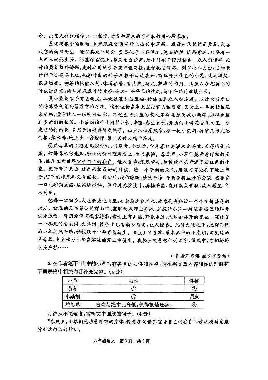 河南省新乡市辉县市2024-2025学年八年级下学期期末调研考试语文试卷（图片版，无答案）第3页