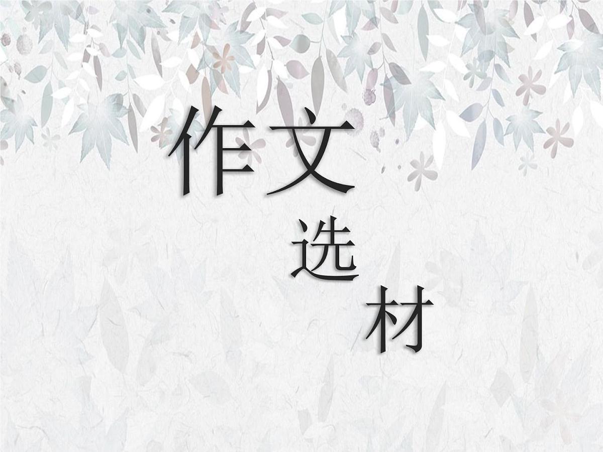 2026年中考语文复习作文专题之写作选材 课件第1页
