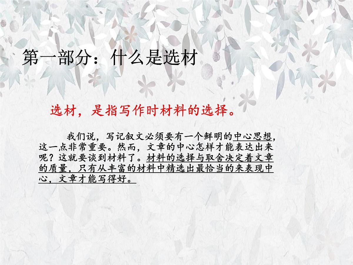 2026年中考语文复习作文专题之写作选材 课件第3页