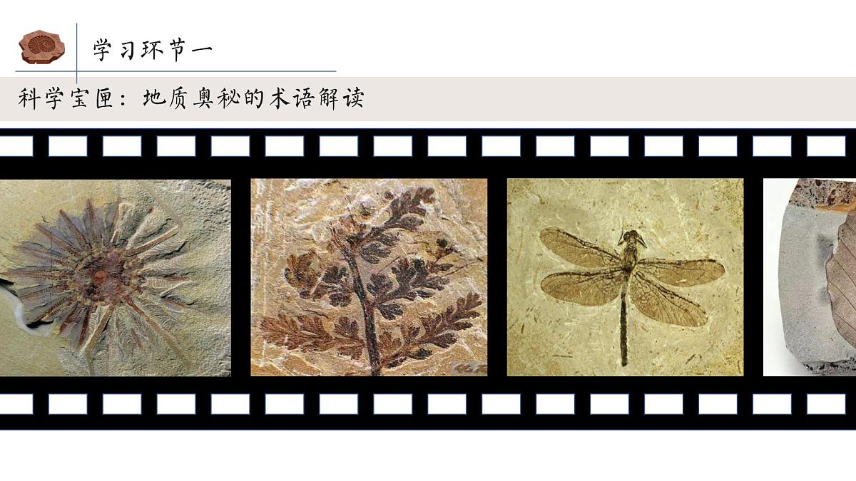 8_时间的脚印-课件八年级语文下册（统编版）第4页