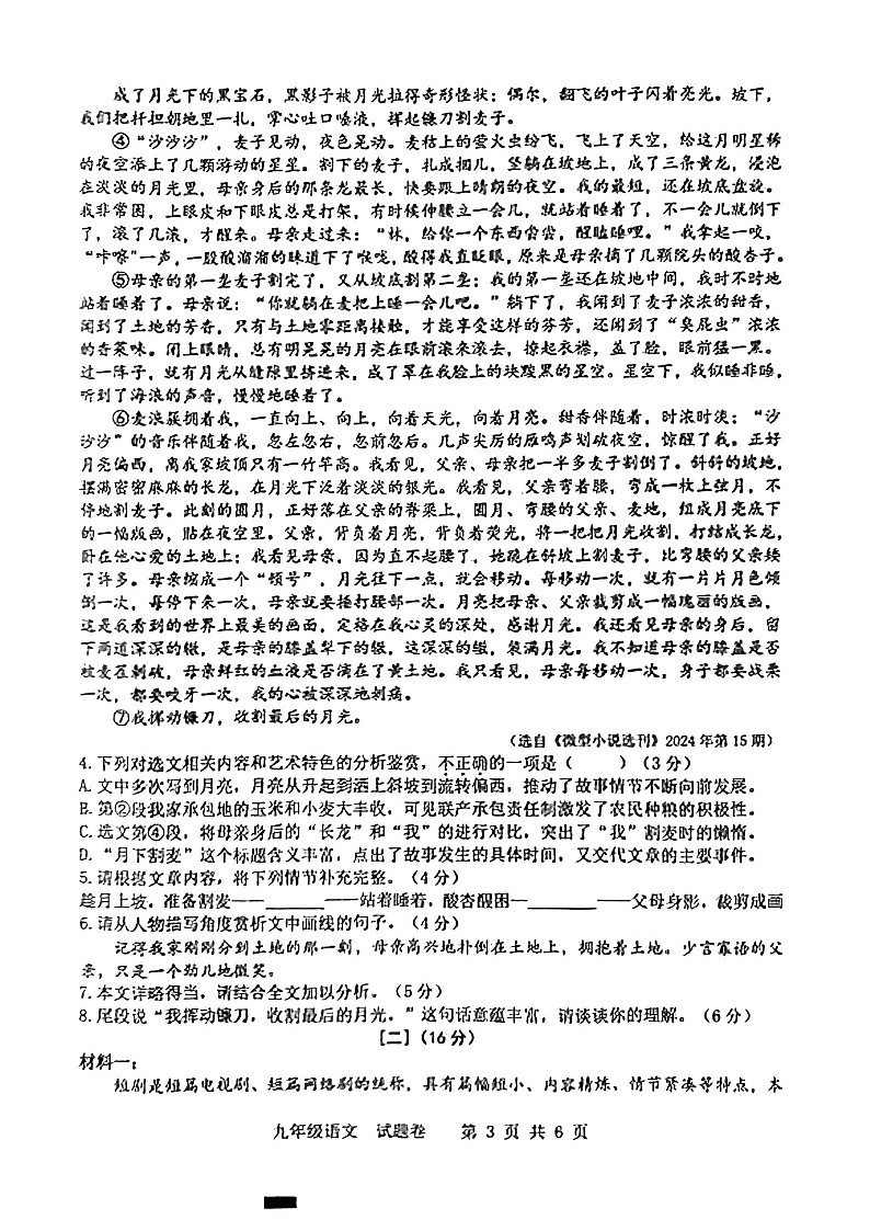 【9语期末】合肥市新站区2024-2025学年九年级上学期语文期末考试卷第3页